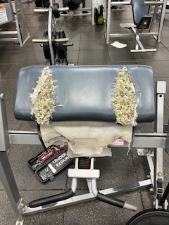 Shredded preacher curl pad with foam exposed